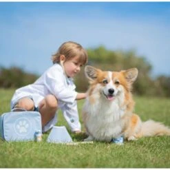 Bigjigs Veterinary Set 33002 19 Bigjigs Veterinary Set 33002 -Toys Store bigjigs veterinary set 33002 435505